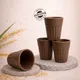 Natural Husk__TurtleTales: Sustainable & Reusable Products