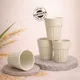 Marine Mist__TurtleTales: Sustainable & Reusable Products