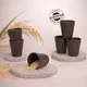 Cocoa Bean__TurtleTales: Sustainable & Reusable Products