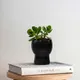 Midnight Black__TurtleTales: Sustainable & Reusable Products