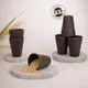 Cocoa Bean__TurtleTales: Sustainable & Reusable Products