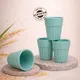 Ocean Wave__TurtleTales: Sustainable & Reusable Products