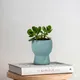 Ocean Wave__TurtleTales: Sustainable & Reusable Products