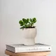Marine Mist__TurtleTales: Sustainable & Reusable Products