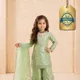PISTA GREEN__Banarasi Saree Hub
