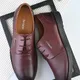 Bordo__Alleviater Shoes