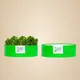 Pack Of 2__STI GREEN