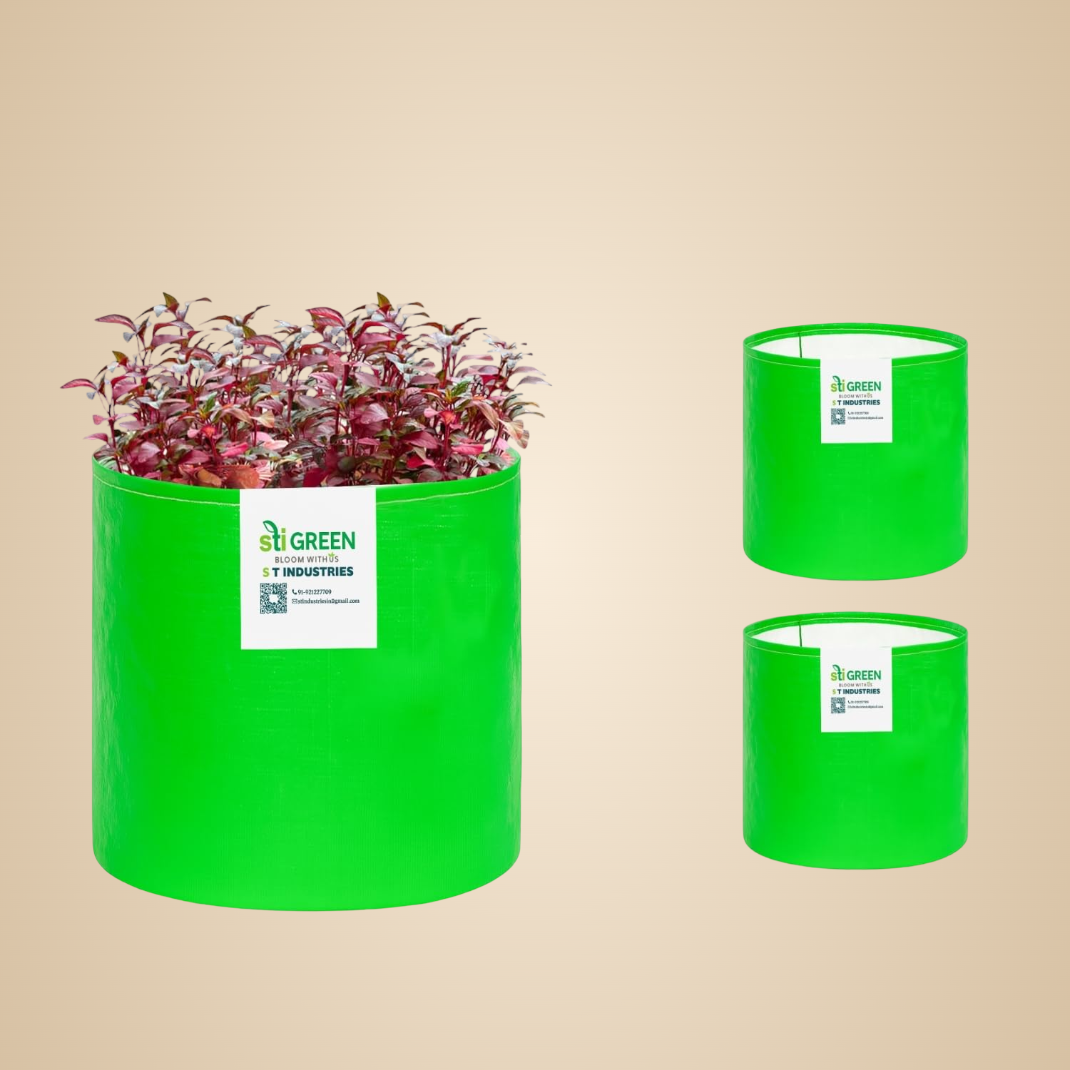 Pack Of 3__STI GREEN