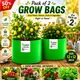 Pack Of 2__STI GREEN