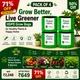 Pack Of 4__STI GREEN