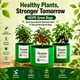 Pack Of 3__STI GREEN