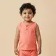 Orange__TINY CHUCKLES