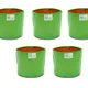 Green & Orange