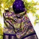 Multi colour __Shree Kala Saree