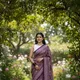 raani__Shree Kala Saree