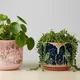 Pink, Navy Blue__Nivirescent