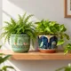 Mint, Navy Blue