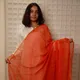 Orange__The Piku