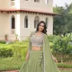 Olive Green__Rajkanika
