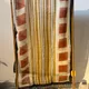 Natural Off-White base with Mustard Yellow, Rust Brown, and Black accents