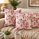Wine/Pink__Vintage House