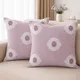 Lavender Pink__Vintage House