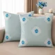 light blue__Vintage House