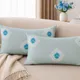 Light Blue__Vintage House