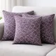Purple__Vintage House