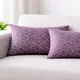 Purple__Vintage House