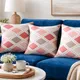 Pink & Beige__Vintage House