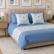 Light Blue__Vintage House
