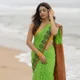 Sage parrot green__Deeksha Cotton