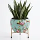 Pack Of 1__Urban Nest