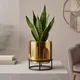 Pack of 1__Urban Nest