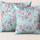 AquaBlue__Vintage House