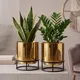 Pack of 2__Urban Nest