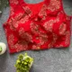 Red__Style Heaven