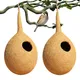 Pack Of 2__BirdShala