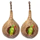 Pack Of 2__BirdShala