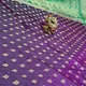 wine__Subhadra Saree