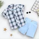 White Chex & Light Blue __The Vibe Book
