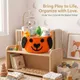 Narangi ( Orange Shade)__KT RUGS