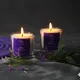 Purple__Riveya