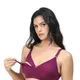 Dark Purple__Belvino