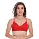 Red__Belvino