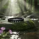 Black__Living Hindu