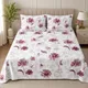 White Base- Plum__Chadarwala