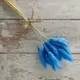 Blue__Artecasa
