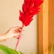 Red__Artecasa